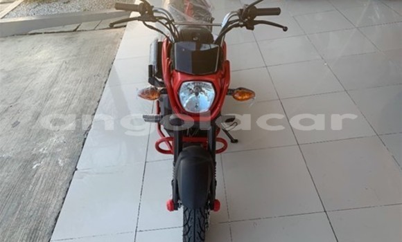 Comprar Novo Honda Navi Vermelho Moto em Caxito em Bengo Comprar Novo Honda Navi Vermelho Moto em Caxito em Bengo