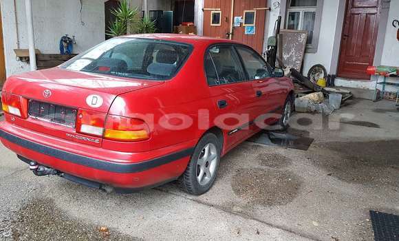 Buy Used Toyota Corolla Red Car in Luanda in Luanda Province Buy Used Toyota Corolla Red Car in Luanda in Luanda Province