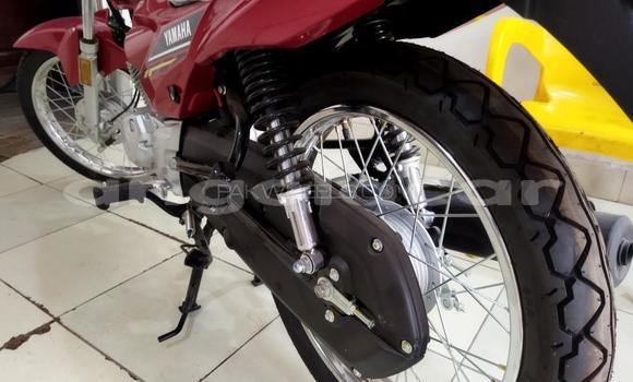 Comprar Usado Yamaha YBR-125 Vermelho Moto em Luanda em Luanda Province Comprar Usado Yamaha YBR-125 Vermelho Moto em Luanda em Luanda Province