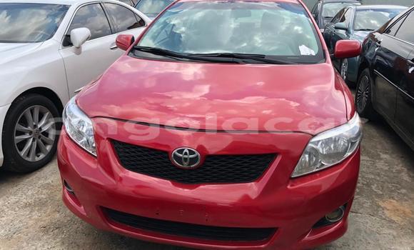 Buy Used Toyota Corolla Red Car in Luanda in Luanda Province