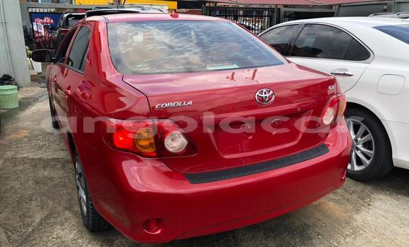 Buy Used Toyota Corolla Red Car in Luanda in Luanda Province Buy Used Toyota Corolla Red Car in Luanda in Luanda Province