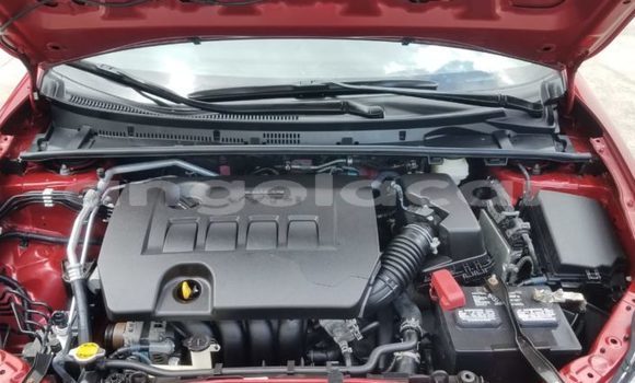 Comprar Usado Toyota Corolla Vermelho Carro em N'zeto em Zaire Comprar Usado Toyota Corolla Vermelho Carro em N'zeto em Zaire