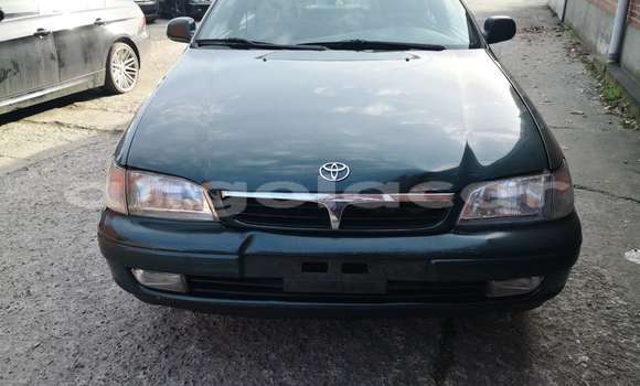 Buy Used Toyota Corolla Green Car in Luanda in Luanda Province Buy Used Toyota Corolla Green Car in Luanda in Luanda Province