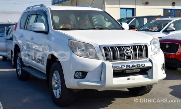 Comprar Importar Toyota Prado Branco Carro em Import - Dubai em Bengo Province Comprar Importar Toyota Prado Branco Carro em Import - Dubai em Bengo Province