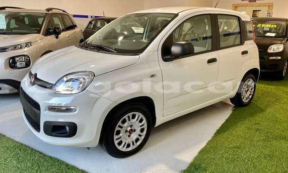 Buy Used Fiat Panda White Car in Luanda in Luanda Province Buy Used Fiat Panda White Car in Luanda in Luanda Province