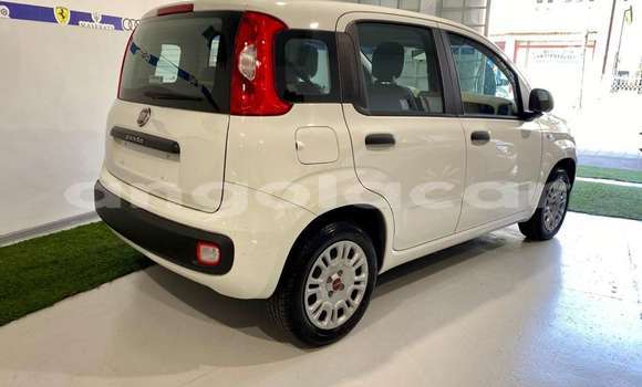 Buy Used Fiat Panda White Car in Luanda in Luanda Province Buy Used Fiat Panda White Car in Luanda in Luanda Province