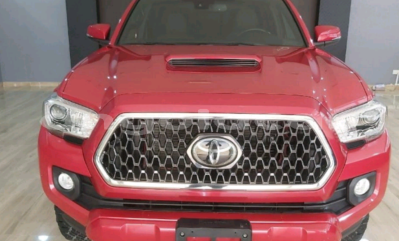 Comprar Usado Toyota Tacoma Vermelho Carro em Luanda em Luanda Province Comprar Usado Toyota Tacoma Vermelho Carro em Luanda em Luanda Province