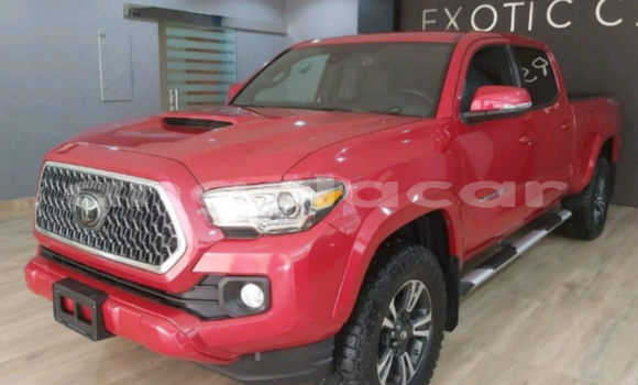 Buy Used Toyota Tacoma Red Car in Luanda in Luanda Province Buy Used Toyota Tacoma Red Car in Luanda in Luanda Province