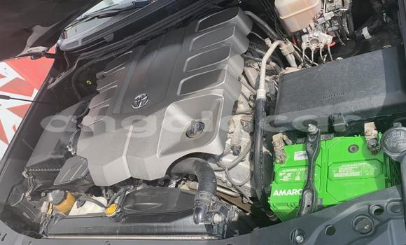 Comprar Usado Toyota Land Cruiser Preto Carro em Moçâmedes em Namibe Province Comprar Usado Toyota Land Cruiser Preto Carro em Moçâmedes em Namibe Province