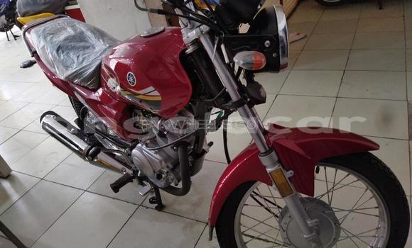 Comprar Usado Yamaha YD Vermelho Moto em Caxito em Bengo Comprar Usado Yamaha YD Vermelho Moto em Caxito em Bengo