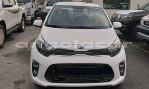Comprar Usado Kia Picanto Branco Carro em Luanda em Luanda Province Comprar Usado Kia Picanto Branco Carro em Luanda em Luanda Province