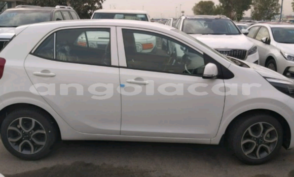 Comprar Usado Kia Picanto Branco Carro em Luanda em Luanda Province Comprar Usado Kia Picanto Branco Carro em Luanda em Luanda Province