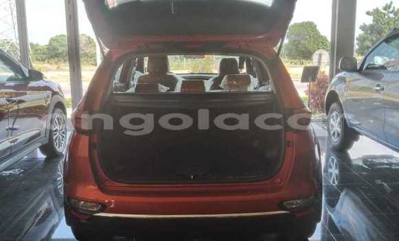 Buy Used Kia Sportage Brown Car in N'zeto in Zaire Buy Used Kia Sportage Brown Car in N'zeto in Zaire