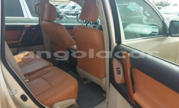 Comprar Usado Toyota Prado Outro Carro em Luanda em Luanda Province Comprar Usado Toyota Prado Outro Carro em Luanda em Luanda Province