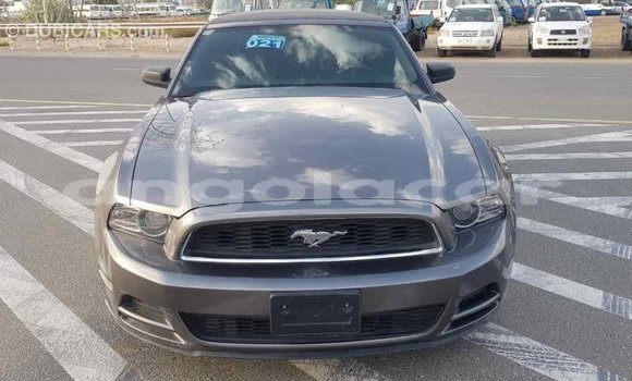 Comprar Importar Ford Mustang Outro Carro em Import - Dubai em Bengo Province Comprar Importar Ford Mustang Outro Carro em Import - Dubai em Bengo Province