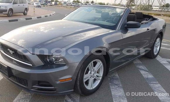 Comprar Importar Ford Mustang Outro Carro em Import - Dubai em Bengo Province Comprar Importar Ford Mustang Outro Carro em Import - Dubai em Bengo Province