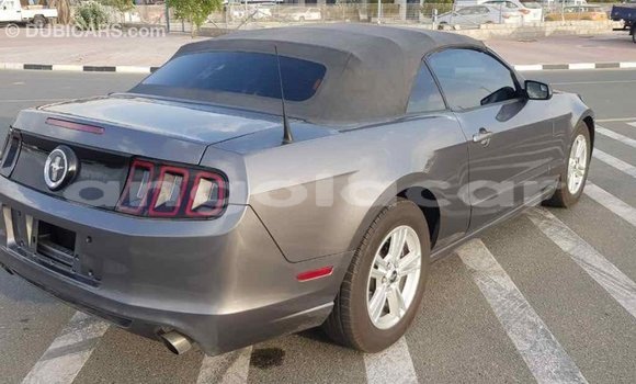 Comprar Importar Ford Mustang Outro Carro em Import - Dubai em Bengo Province Comprar Importar Ford Mustang Outro Carro em Import - Dubai em Bengo Province