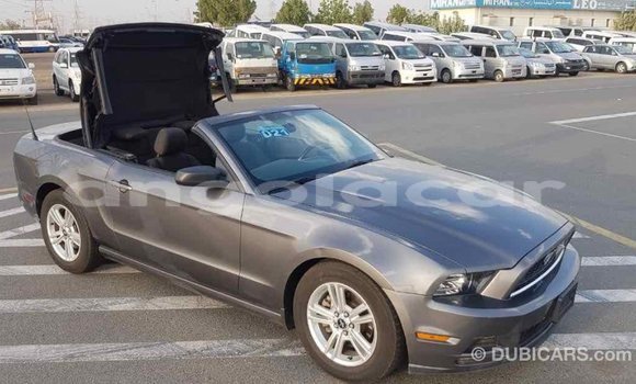 Comprar Importar Ford Mustang Outro Carro em Import - Dubai em Bengo Province Comprar Importar Ford Mustang Outro Carro em Import - Dubai em Bengo Province