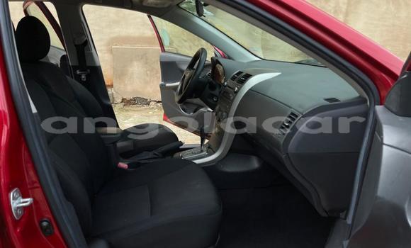 Comprar Usado Toyota Corolla Vermelho Carro em N'zeto em Zaire Comprar Usado Toyota Corolla Vermelho Carro em N'zeto em Zaire