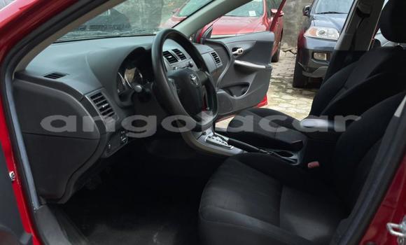 Comprar Usado Toyota Corolla Vermelho Carro em N'zeto em Zaire Comprar Usado Toyota Corolla Vermelho Carro em N'zeto em Zaire