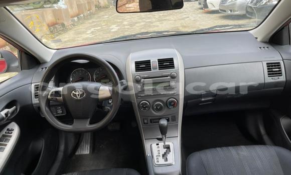 Comprar Usado Toyota Corolla Vermelho Carro em N'zeto em Zaire Comprar Usado Toyota Corolla Vermelho Carro em N'zeto em Zaire