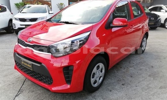 Buy Used Kia Picanto Red Car in Luena in Moxico Buy Used Kia Picanto Red Car in Luena in Moxico