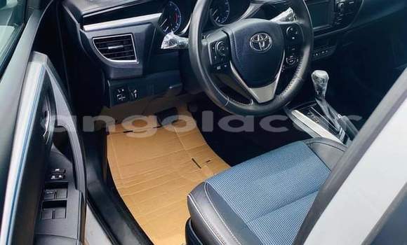 Comprar Usado Toyota Corolla Branco Carro em N'zeto em Zaire Comprar Usado Toyota Corolla Branco Carro em N'zeto em Zaire