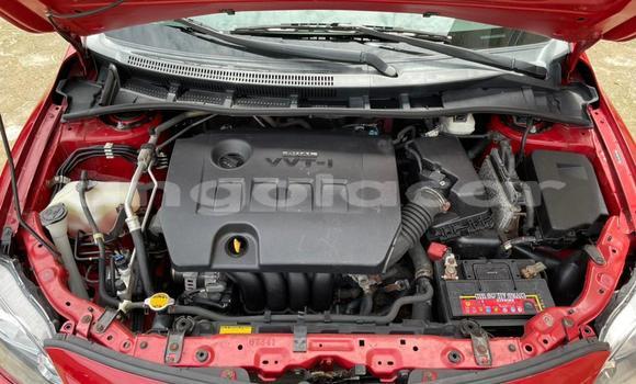 Buy Used Toyota Corolla Red Car in N'zeto in Zaire Buy Used Toyota Corolla Red Car in N'zeto in Zaire