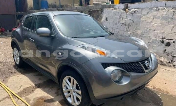 Acheter Occasion Voiture Nissan Juke Noir à N'zeto, Zaïre