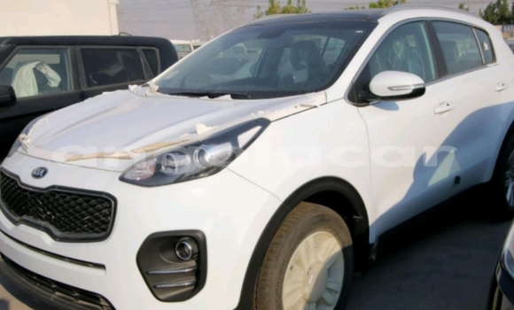 Buy New Kia Sportage Other Car in Luanda in Luanda Province Buy New Kia Sportage Other Car in Luanda in Luanda Province