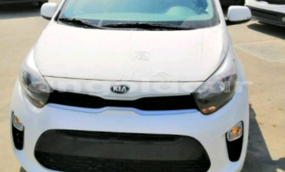Buy New Kia Picanto White Car in Luanda in Luanda Province Buy New Kia Picanto White Car in Luanda in Luanda Province