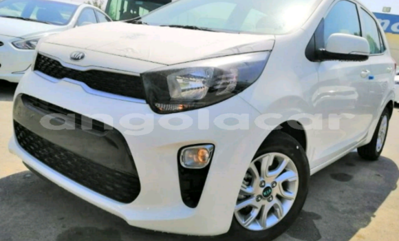 Comprar Novo Kia Picanto Branco Carro em Luanda em Luanda Province Comprar Novo Kia Picanto Branco Carro em Luanda em Luanda Province