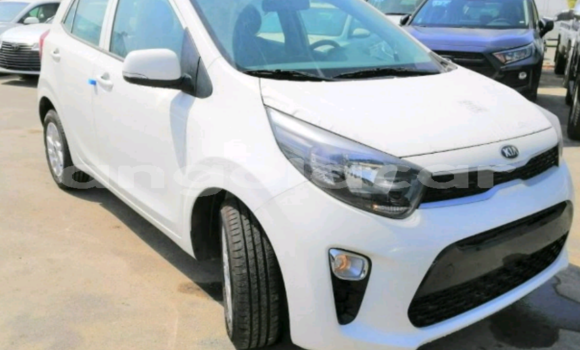 Comprar Novo Kia Picanto Branco Carro em Luanda em Luanda Province Comprar Novo Kia Picanto Branco Carro em Luanda em Luanda Province