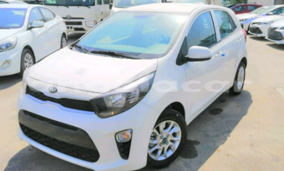 Comprar Novo Kia Picanto Branco Carro em Luanda em Luanda Province Comprar Novo Kia Picanto Branco Carro em Luanda em Luanda Province