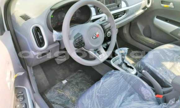 Comprar Novo Kia Picanto Branco Carro em Luanda em Luanda Province Comprar Novo Kia Picanto Branco Carro em Luanda em Luanda Province