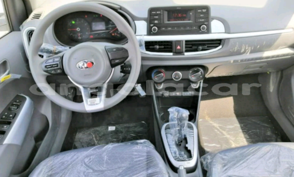 Comprar Novo Kia Picanto Branco Carro em Luanda em Luanda Province Comprar Novo Kia Picanto Branco Carro em Luanda em Luanda Province