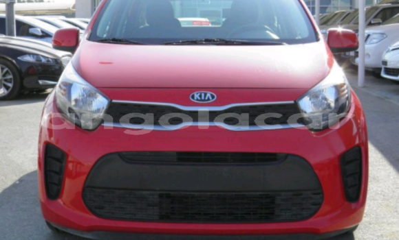 Buy Used Kia Picanto Red Car in Luanda in Luanda Province Buy Used Kia Picanto Red Car in Luanda in Luanda Province