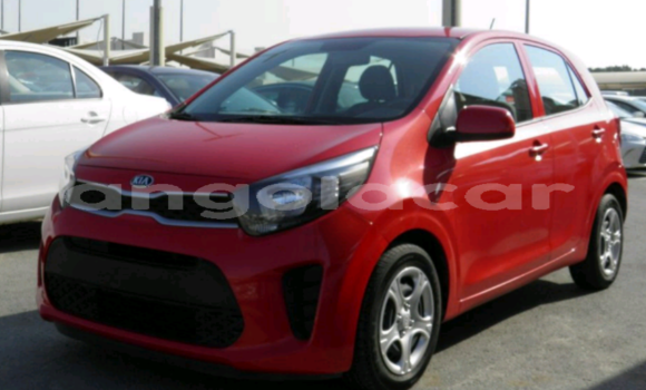 Buy Used Kia Picanto Red Car in Luanda in Luanda Province Buy Used Kia Picanto Red Car in Luanda in Luanda Province