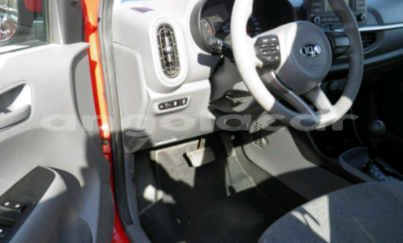 Buy Used Kia Picanto Red Car in Luanda in Luanda Province Buy Used Kia Picanto Red Car in Luanda in Luanda Province