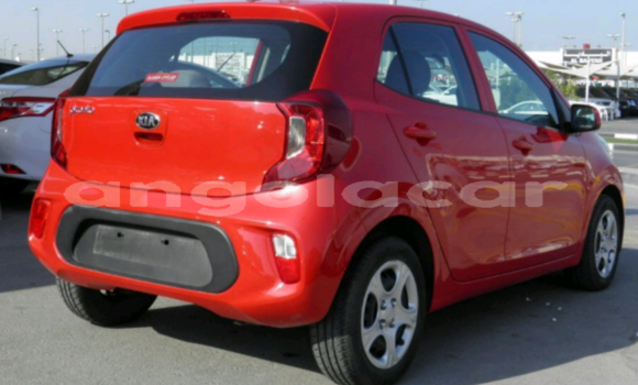 Buy Used Kia Picanto Red Car in Luanda in Luanda Province Buy Used Kia Picanto Red Car in Luanda in Luanda Province