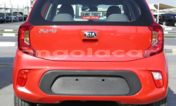 Buy Used Kia Picanto Red Car in Luanda in Luanda Province Buy Used Kia Picanto Red Car in Luanda in Luanda Province