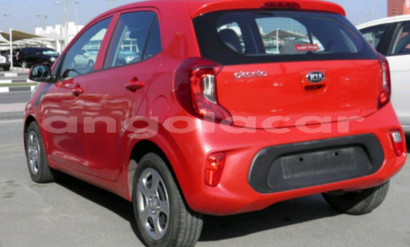 Buy Used Kia Picanto Red Car in Luanda in Luanda Province Buy Used Kia Picanto Red Car in Luanda in Luanda Province