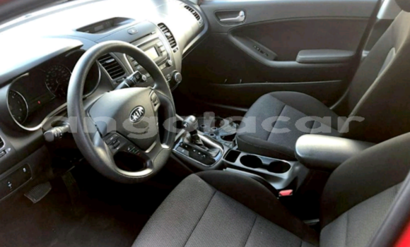 Buy Used Kia Forte Red Car in Luanda in Luanda Province Buy Used Kia Forte Red Car in Luanda in Luanda Province