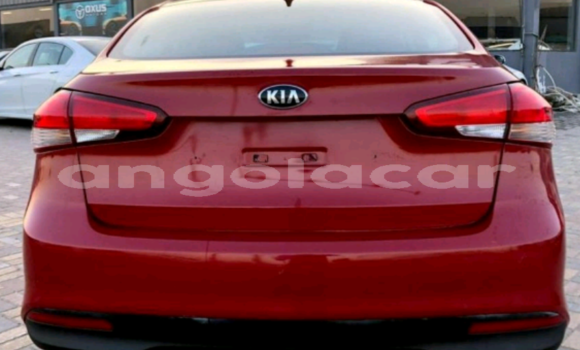 Buy Used Kia Forte Red Car in Luanda in Luanda Province Buy Used Kia Forte Red Car in Luanda in Luanda Province