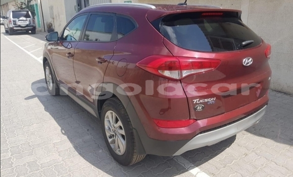 Buy Used Hyundai Tucson Red Car in Namibe in Namibe Province Buy Used Hyundai Tucson Red Car in Namibe in Namibe Province