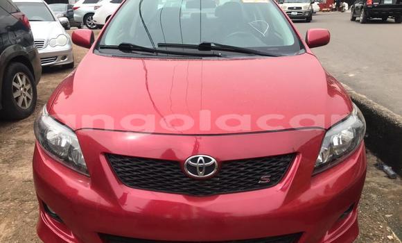 Buy Used Toyota Corolla Red Car in Luena in Moxico Buy Used Toyota Corolla Red Car in Luena in Moxico