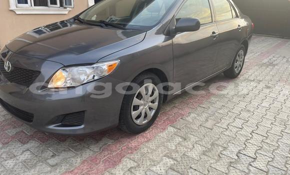 Buy Used Toyota Corolla Other Car in Luena in Moxico Buy Used Toyota Corolla Other Car in Luena in Moxico