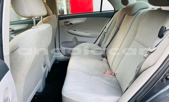 Comprar Usado Toyota Corolla Outro Carro em Malanje em Malanje Province Comprar Usado Toyota Corolla Outro Carro em Malanje em Malanje Province