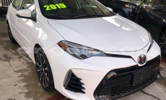 Buy Used Toyota Corolla White Car in Luena in Moxico Buy Used Toyota Corolla White Car in Luena in Moxico