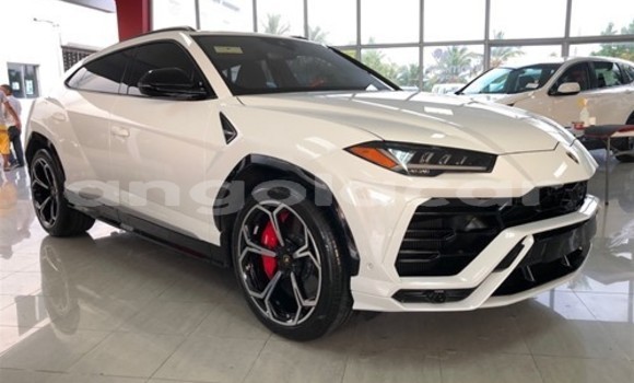 Buy New Lamborghini Urus White Car in Luena in Moxico Buy New Lamborghini Urus White Car in Luena in Moxico
